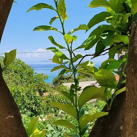 Serenita Διαμέρισμα Πόρος