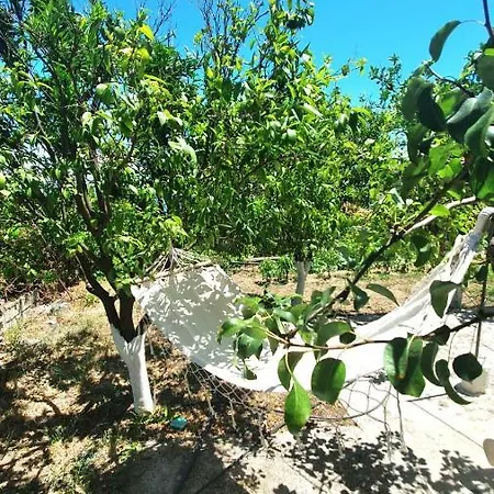 Serenita Διαμέρισμα