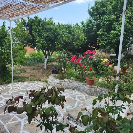 Διαμέρισμα Serenita Πόρος