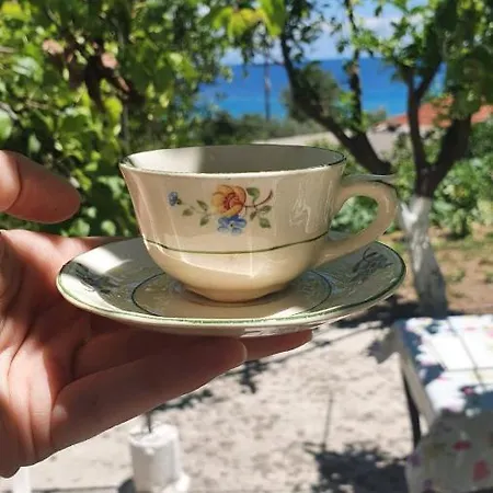 Serenita Poros (Kefalonia)